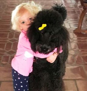 A small girl hugging her dog