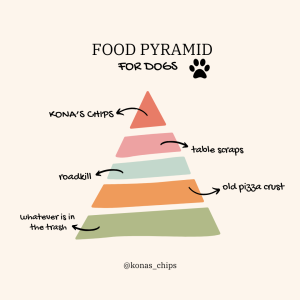 Food pyramid for dogs