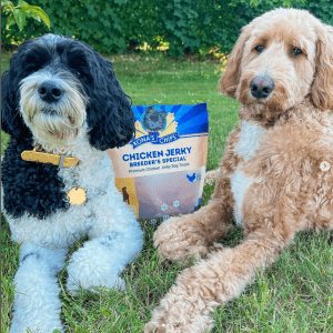 Matilda and Lilah with Chicken Jerky