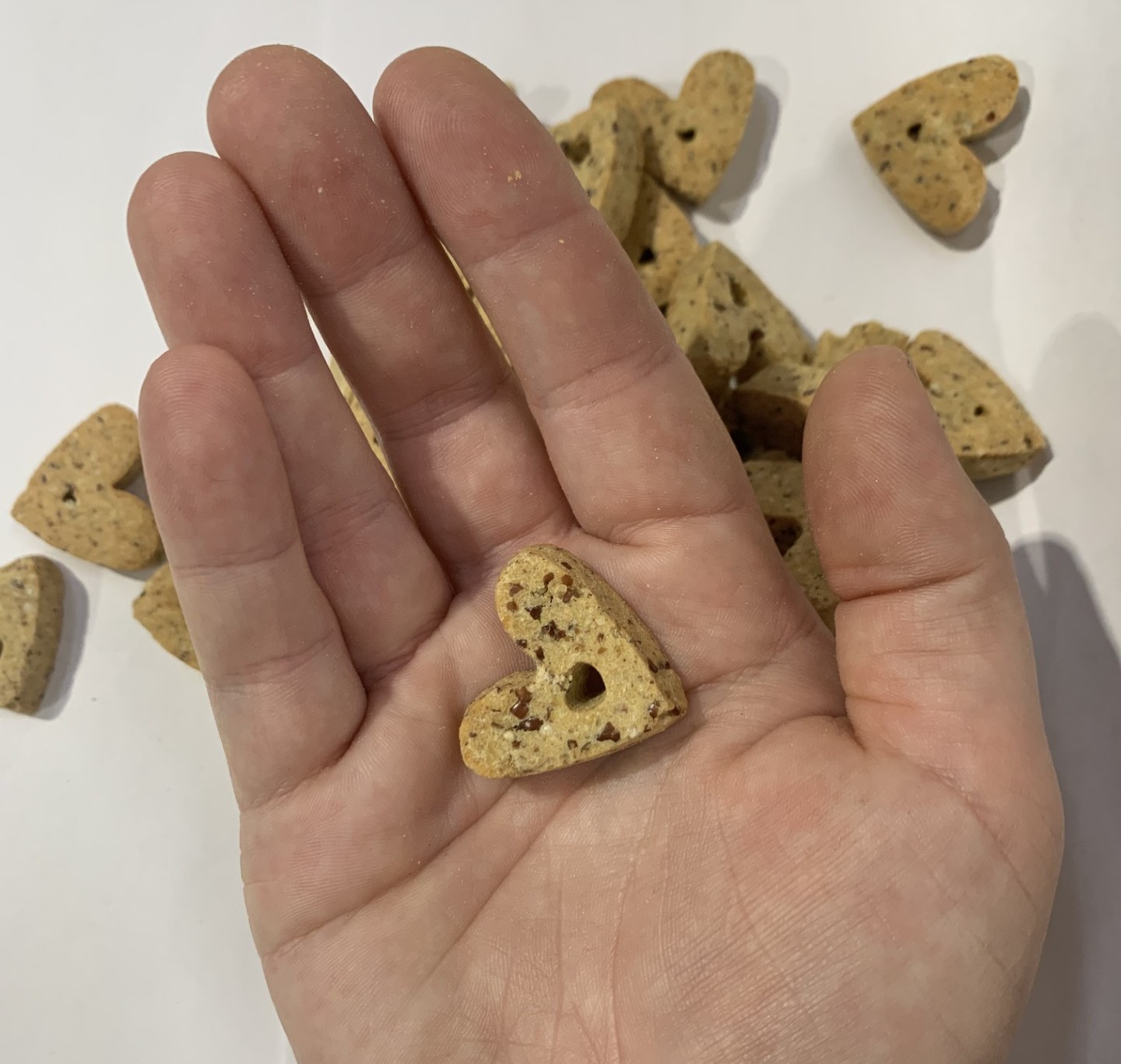 Peanut butter cookies in a hand